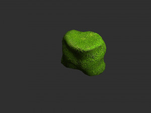 Short Flat Rocks - Moss 2 3D Model