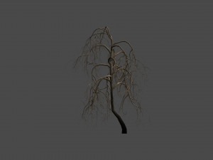 26 Spooky Trees Modelo 3D