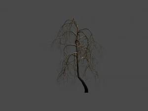 26 Spooky Trees 3D Model