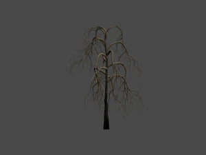26 Spooky Trees 3D Model