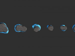 Short Flat Rocks - Energy Modelo 3D