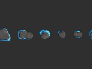 Rocas planas cortas - Energ&iacute;a Modelo 3D