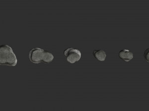 Short Flat Rocks - Rough 1 Modelo 3D