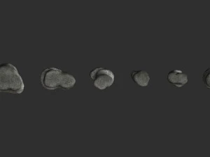 Short Flat Rocks - Rough 1 3D Model