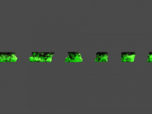 Short Flat Rocks - Toxic Model 3D