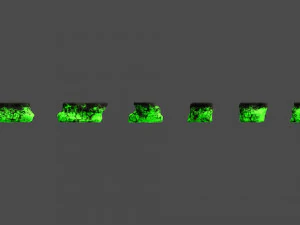 Rocce piatte corte - Tossiche Modello 3D