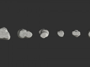 Short Flat Rocks - White 3D Модель