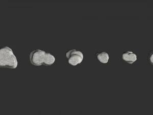 Short Flat Rocks - White 3D Model