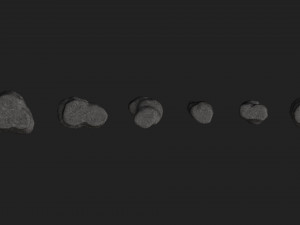 Short Flat Rocks - Rough 2 Modelo 3D