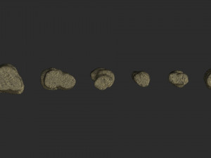 Short Flat Rocks - Dirt Modelo 3D