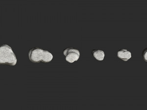 Short Flat Rocks - White 2 3D Модель
