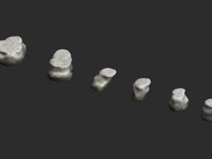 Short Flat Rocks - White 2 3D Модель