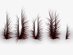Cierniste wąsy Model 3D