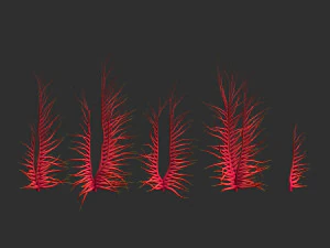 Thorny Tendrils 3D Model