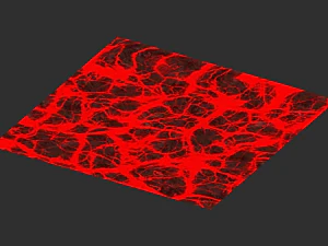 Lava Rocks Combo 3D Model