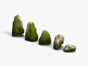 Combo de roches de mousse Modèle 3D
