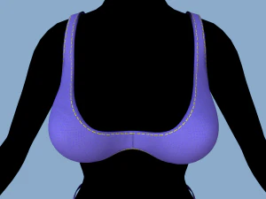 swimsuit 2 3D Model