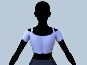 top and skirt 3D Model