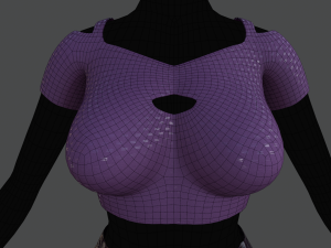 top and skirt 2 Model 3D