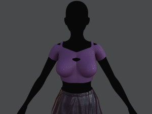 top and skirt 2 Model 3D