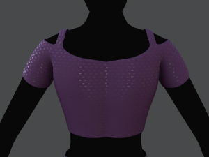 top and skirt 2 Model 3D