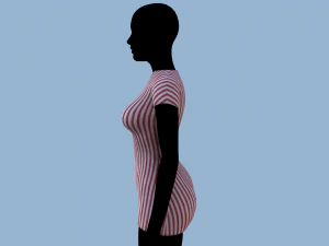 overalls 2 3D Model