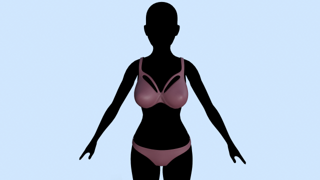 lingerie 3D Model .c4d .max .obj .3ds .fbx .stl .blend 