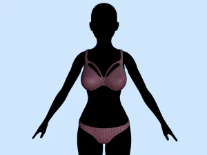 lingerie 3D Model