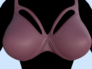 lingerie 3D Model