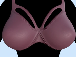 lingerie 3D Model