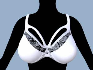 lingerie 2 Modelo 3D