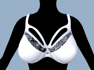 lingerie 2 3D Model