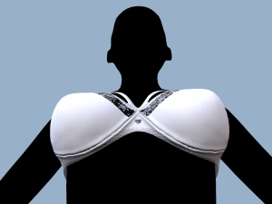 lingerie 2 Modelo 3D