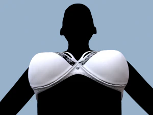 lingerie 2 3D Model