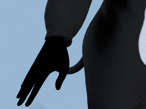 kigurumi cat 2 3D Model
