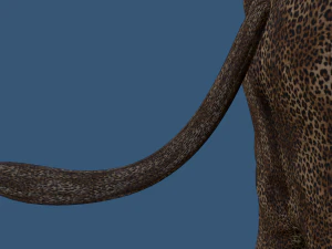 leopardo kigurumi Modello 3D