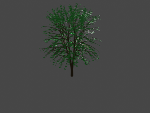 tree 3D 모델