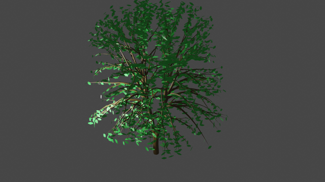 green tree with leaves 3D 模型 .c4d .max .obj .3ds .fbx .stl .blend