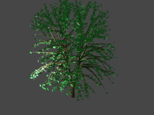 green tree with leaves Modèle 3D