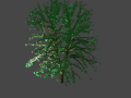 Green tree with leaves 3D Model