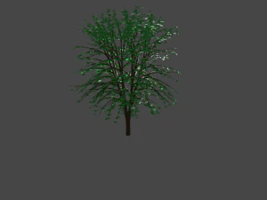 green tree with leaves 3D Model