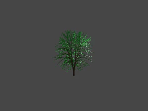 green tree with leaves 3D Model