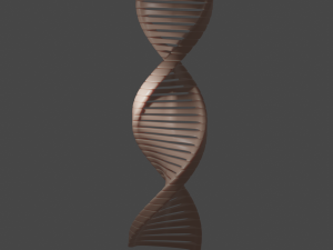 dna 3D Model
