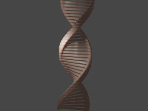 DNA Model 3D