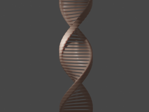dna Modelo 3D