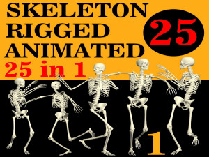 Skeleton Rigged 3D Animations Set 1 - 25 in 1 3D Model