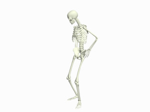 Skeleton Rigged 3D Animations Set 4 - 25 in 1 3Dモデル