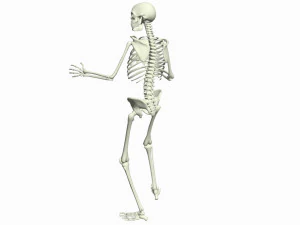 Skeleton Rigged 3D Animations Set 5 - 25 in 1 3D Model