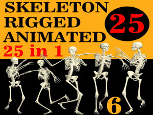 Skeleton Rigged 3D Animations Set 6 - 25 in 1 3D Models