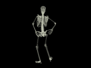 Skeleton Rigged 3D Animations Set 7 - 25 in 1 3D Model